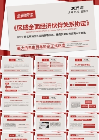 2026RCEP自贸组织经济伙伴政策解读.pptx