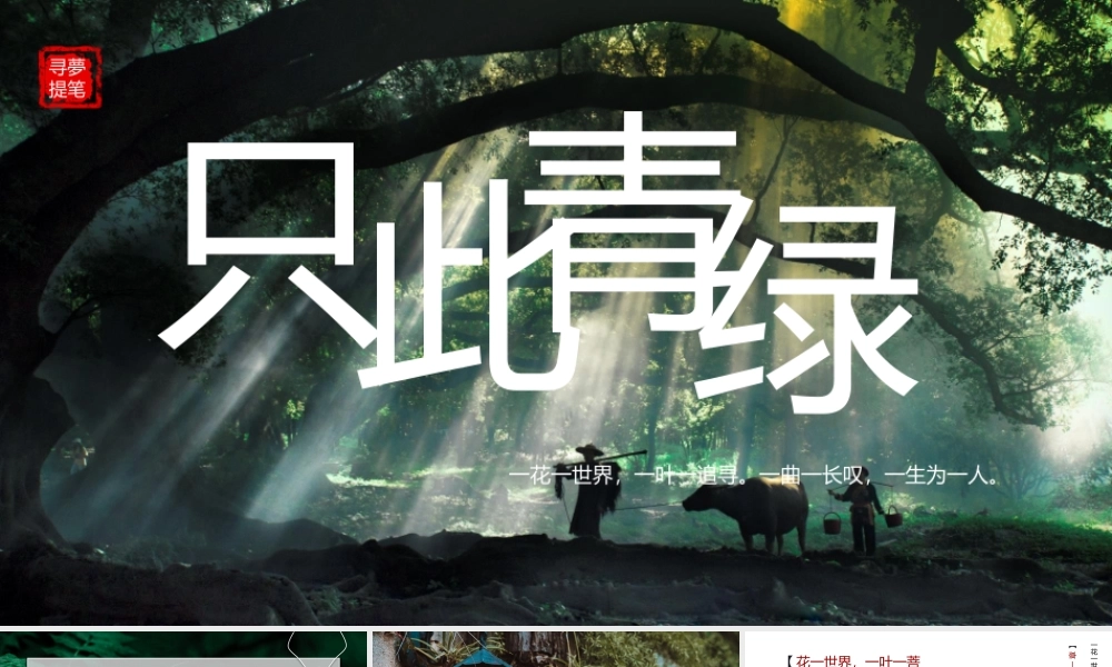 绿色森林背景“只此青绿”中国风.pptx