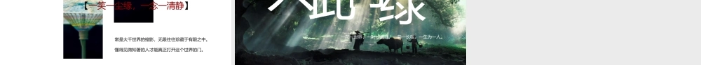 绿色森林背景“只此青绿”中国风.pptx