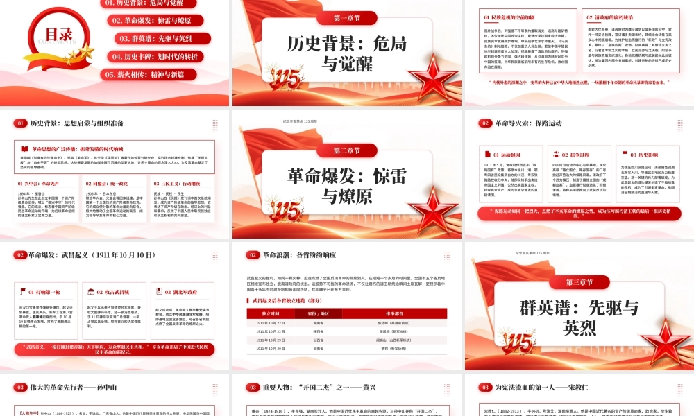 红色党政风纪念辛亥革命115周年党课.pptx