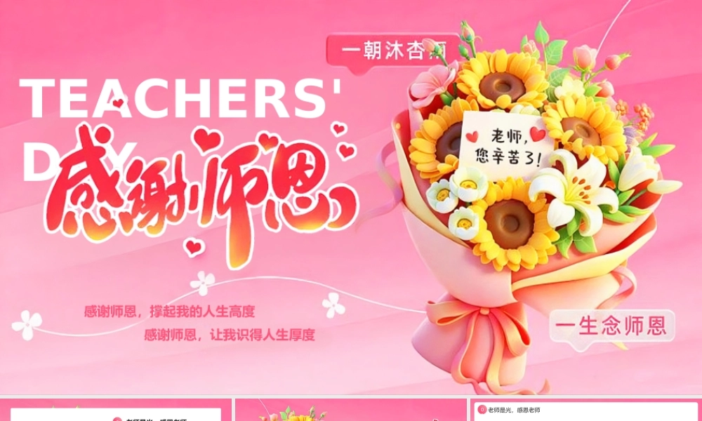 粉色简约风感恩教师节教师节主题.pptx