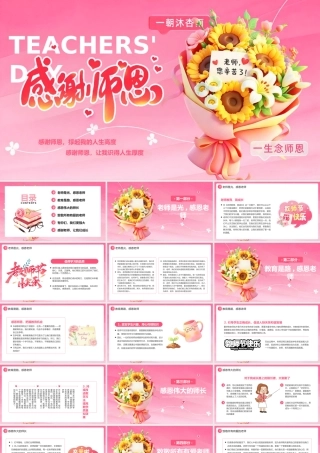 粉色简约风感恩教师节教师节主题.pptx