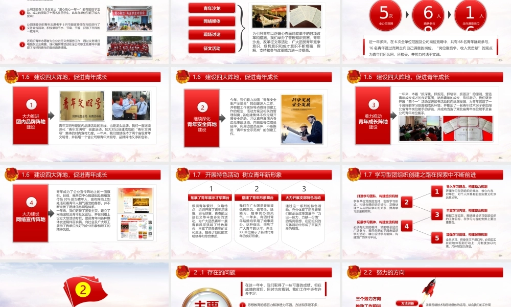 党政各级团委爱国工作汇报.pptx