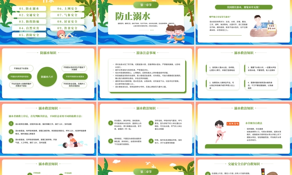 绿色卡通夏天夏季快乐暑假安全一夏 .pptx