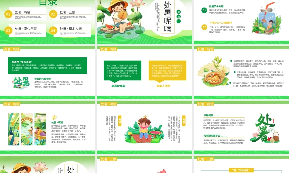 绿色插画风处暑节气介绍主题.pptx