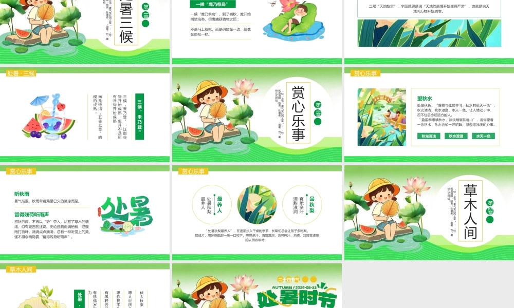 绿色插画风处暑节气介绍主题.pptx