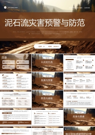 棕色简约泥石流灾害预警防范.pptx