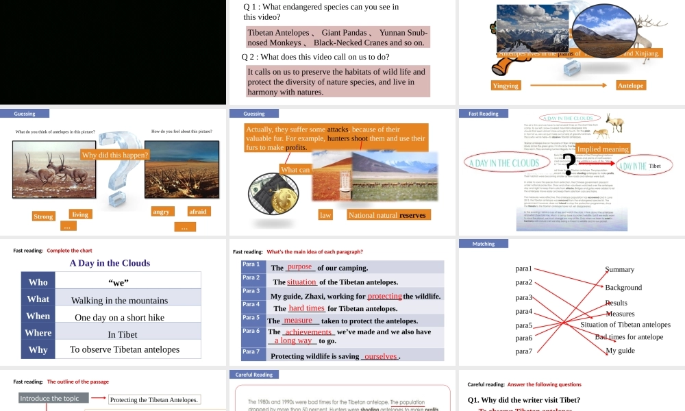Unit+2+Wildlife+Protection+Reading+and+Thinking-2021-2022学年高一英语精美课件+精美教案（必修二）（人教版2019）.pptx