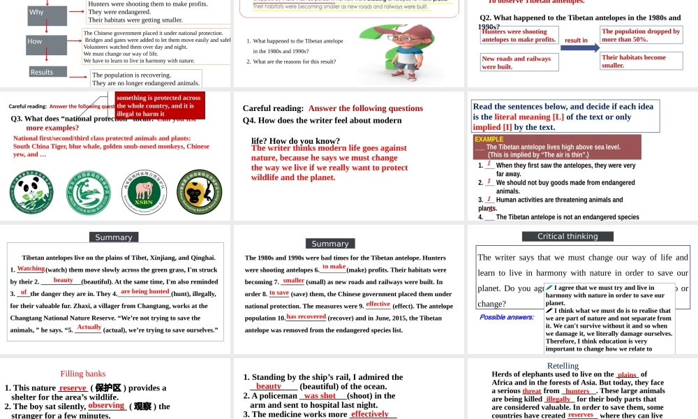 Unit+2+Wildlife+Protection+Reading+and+Thinking-2021-2022学年高一英语精美课件+精美教案（必修二）（人教版2019）.pptx