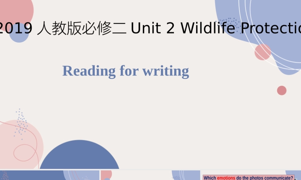 Unit 2 Wildlife Protection Reading for Writing-2021-2022学年高一英语精美课件 精美教案（必修二）（人教版2019）.pptx
