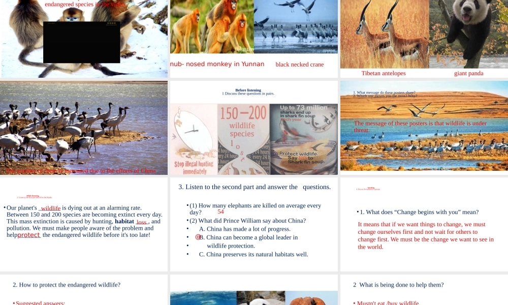 Unit 2 Wildlife Protection Listening&Speaking Listening &Talking-2021-2022学年高一英语精美课件 精美教案（必修二）（人教版2019）.pptx
