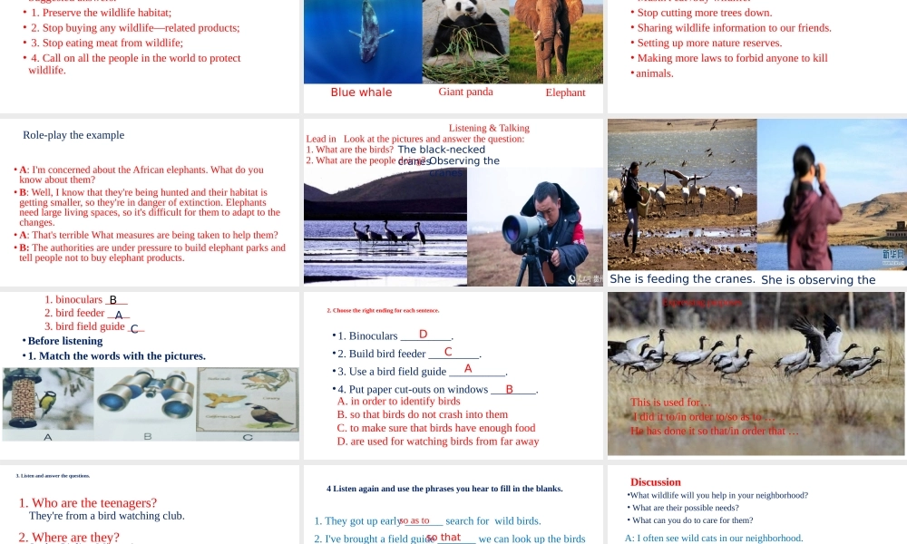 Unit 2 Wildlife Protection Listening&Speaking Listening &Talking-2021-2022学年高一英语精美课件 精美教案（必修二）（人教版2019）.pptx
