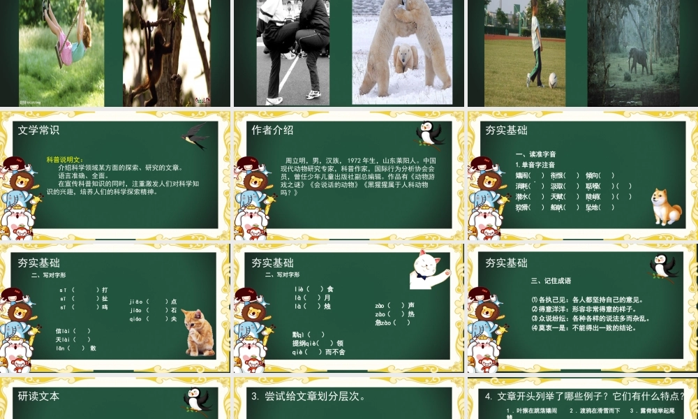 动物游戏之谜-【中职专用】高二语文同步备课课件（高教版2023·职业模块）.pptx