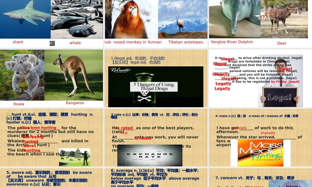 Unit 2 Wildlife Protection 词汇讲解课件 高一英语精美课件 精美教案（必修二）（人教版2019）.pptx