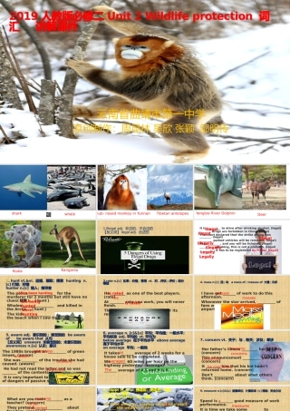 Unit 2 Wildlife Protection 词汇讲解课件 高一英语精美课件 精美教案（必修二）（人教版2019）.pptx