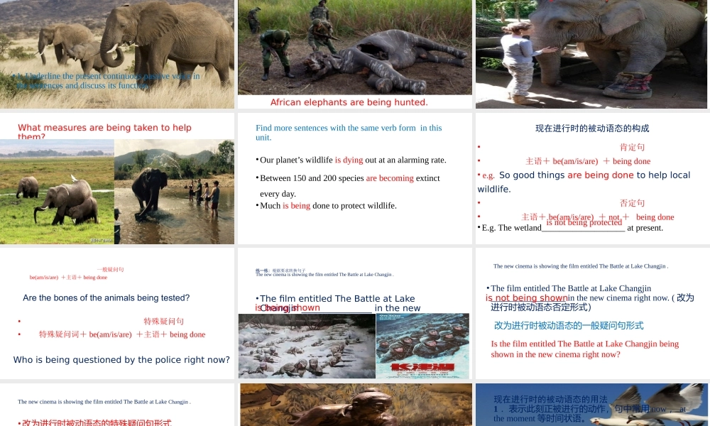 Unit 2 Wildlife Protection Discovering useful structures 进行时被动语态-2021-2022学年高一英语精美课件 精美教案（必修二）（人教版2019）.pptx