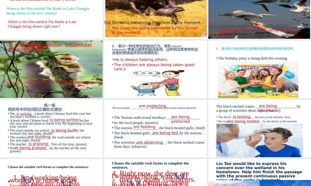 Unit 2 Wildlife Protection Discovering useful structures 进行时被动语态-2021-2022学年高一英语精美课件 精美教案（必修二）（人教版2019）.pptx