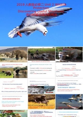 Unit 2 Wildlife Protection Discovering useful structures 进行时被动语态-2021-2022学年高一英语精美课件 精美教案（必修二）（人教版2019）.pptx