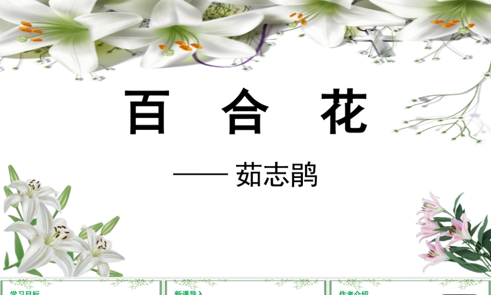 《百合花》课件-【中职专用】高一语文同步精品课堂（高教版2023·基础模块下册）.pptx