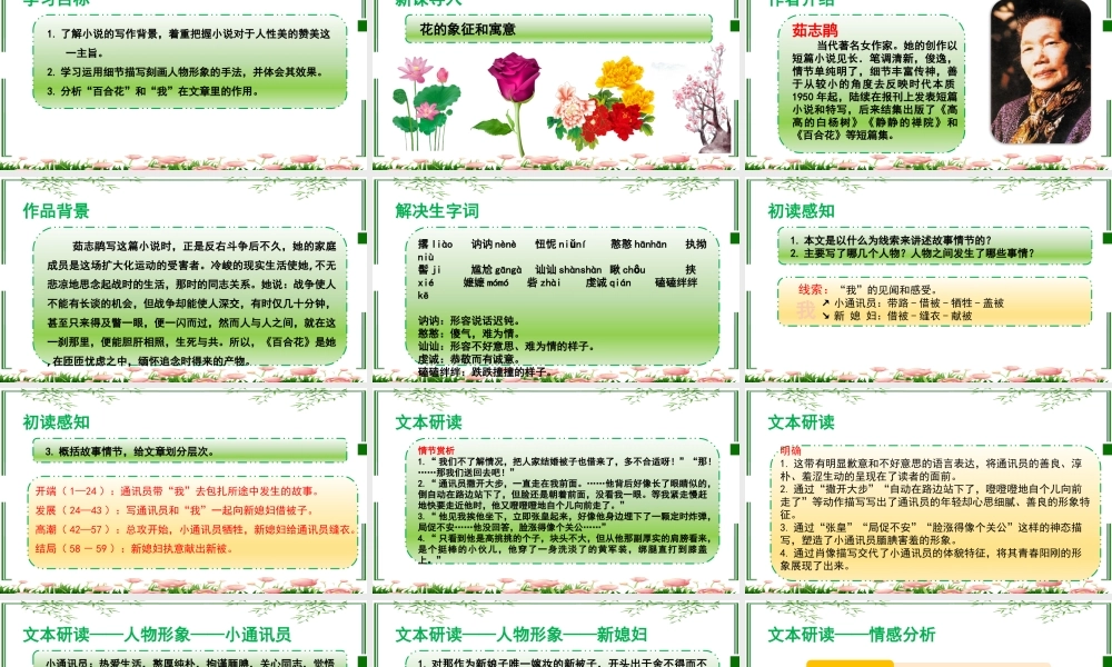 《百合花》课件-【中职专用】高一语文同步精品课堂（高教版2023·基础模块下册）.pptx