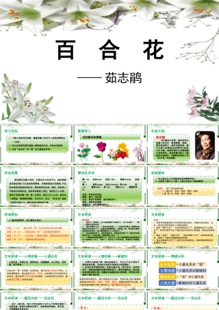 《百合花》课件-【中职专用】高一语文同步精品课堂（高教版2023·基础模块下册）.pptx