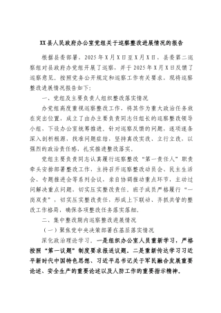 XX县人民政府办公室党组关于巡察整改进展情况的报告.docx