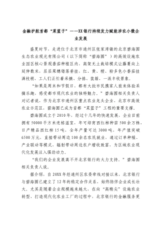 金融护航首都“菜篮子”——XX银行持续发力赋能涉农小微企业发展.docx