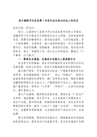 某乡镇副书记在县第×次党代会分组讨论会上的发言.doc