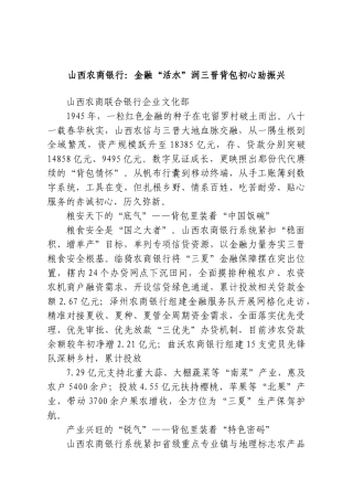 山西农商银行：金融“活水”润三晋背包初心助振兴.doc