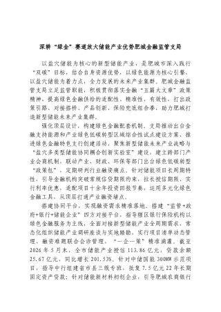 深耕“绿金”赛道放大储能产业优势肥城金融监管支局.doc