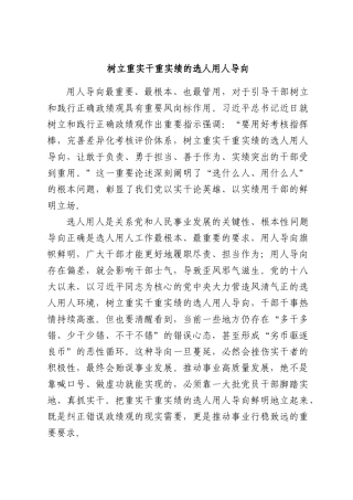 树立重实干重实绩的选人用人导向.docx