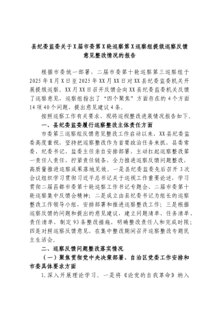 县纪委监委关于X届市委第X轮巡察第X巡察组提级巡察反馈意见整改情况的报告.doc