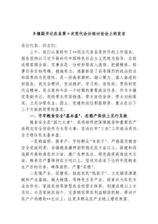 乡镇副书记在县第×次党代会分组讨论会上的发言.doc