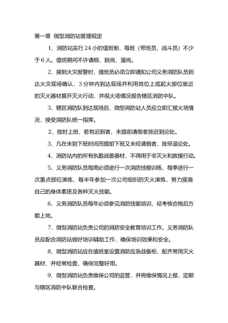某公司微型消防站管理制度.docx