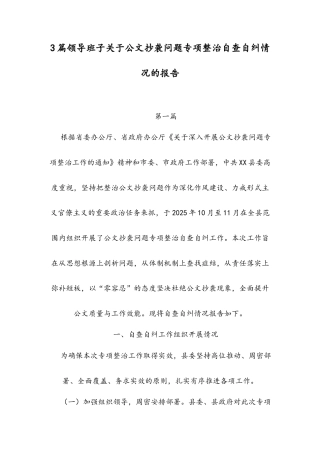 3篇领导班子关于公文抄袭问题专项整治自查自纠情况的报告.docx