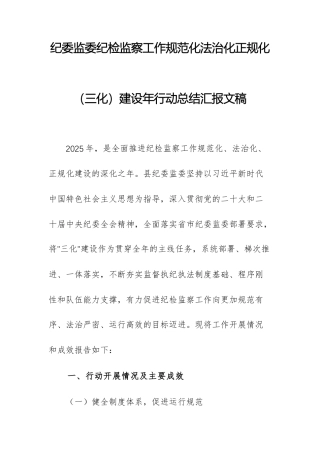 纪委监委纪检监察工作规范化法治化正规化（三化）建设年行动总结汇报文稿.docx