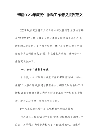 街道2025年度民生救助工作情况报告范文.docx