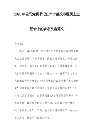2026年公司党委书记在审计整改专题民主生活会上的表态发言范文.docx