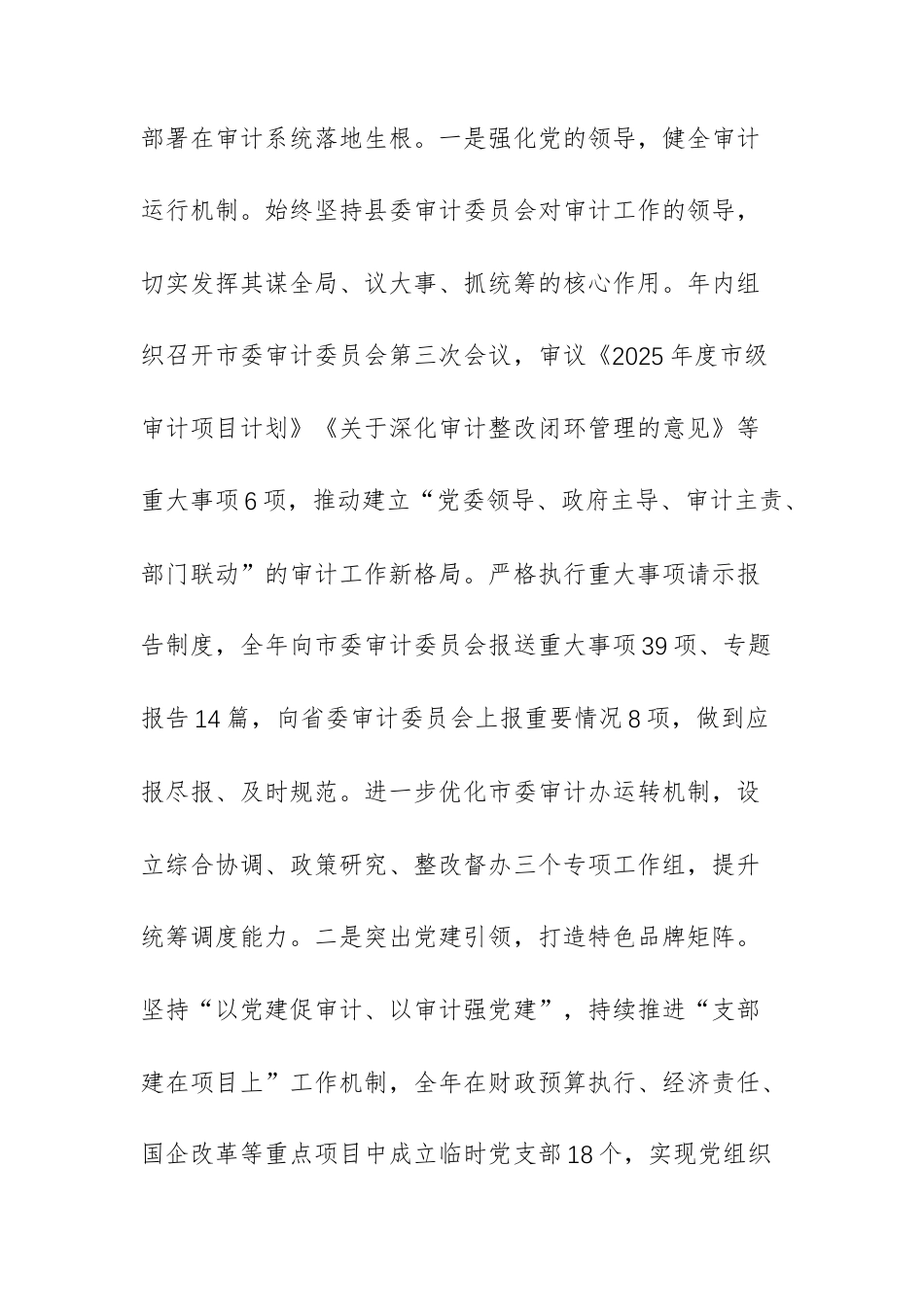 审计机关党组2025年述职述廉述党建工作总结范文.docx_第2页