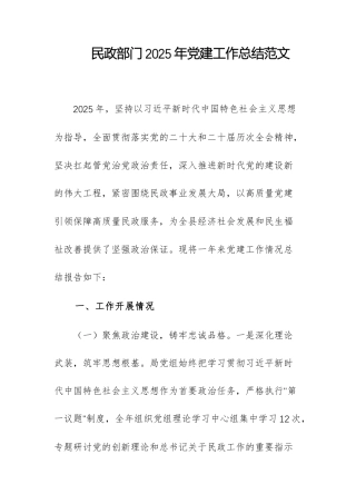 民政部门2025年党建工作总结范文.docx