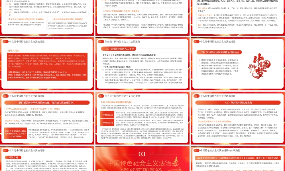 红色党政中国特色社会主义法治道路 .pptx