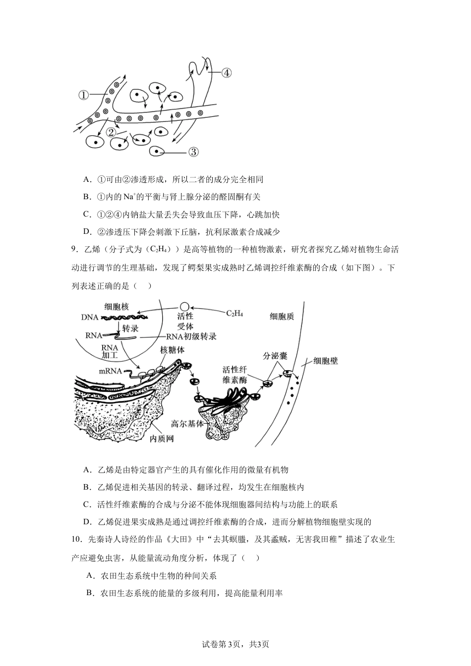 2025届河北 邯郸 高三第一次大联考模拟预测生物试题.docx_第3页