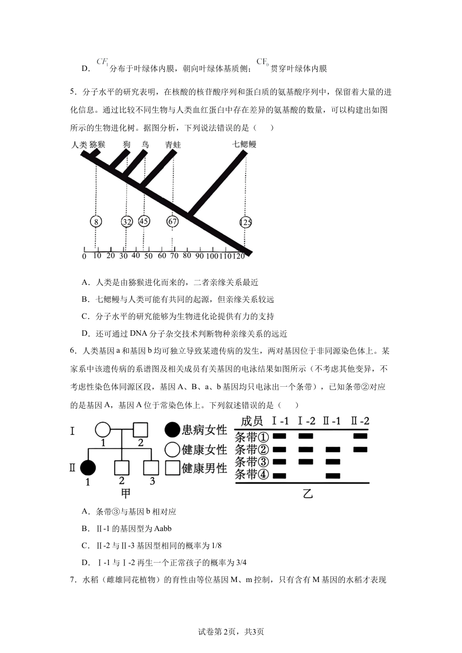 2025届河南 部分名校高三小高考第二次模拟考试生物试题.docx_第2页