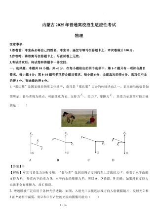 2025年1月内蒙古普通高校招生适应性测试物理.docx