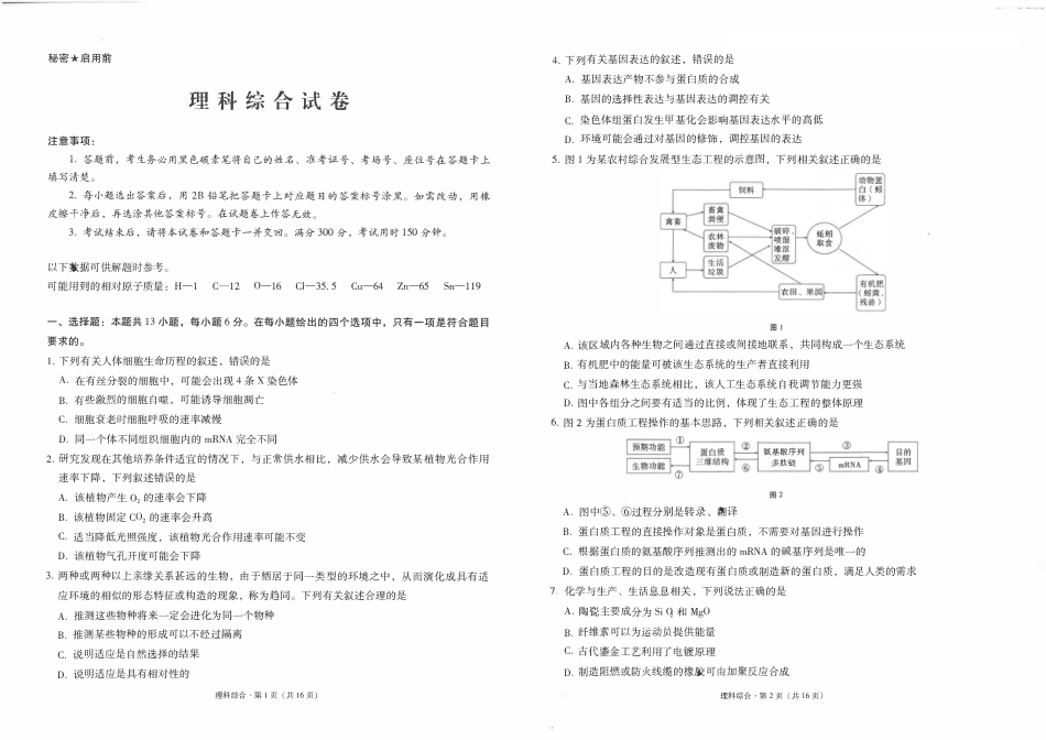 云南师大附中2023届高考适应性月考卷（七）理综试卷.pdf_第1页