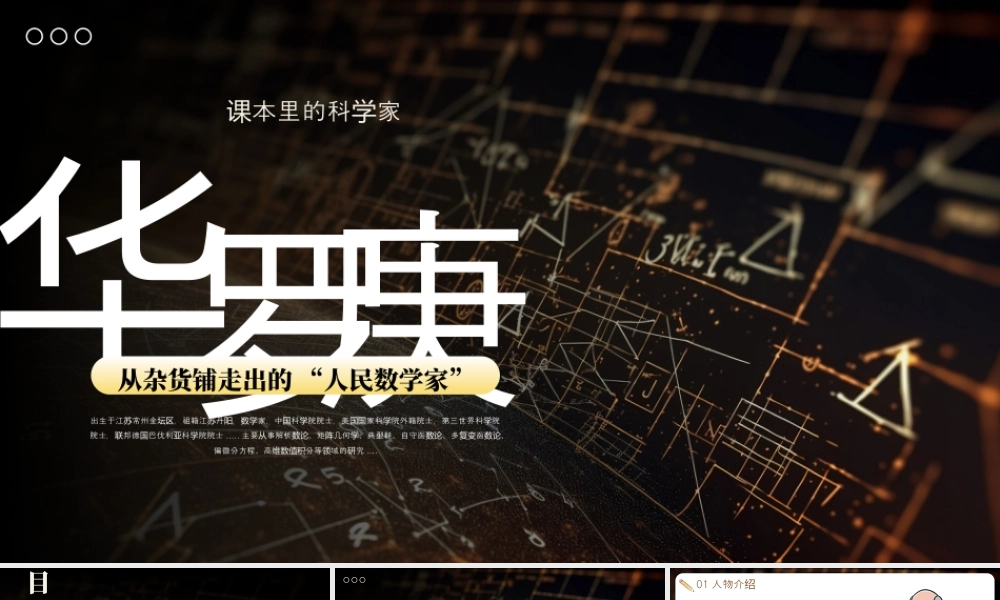棕色简约华罗庚人物介绍 .pptx