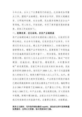 2025年乡X工作总结.docx