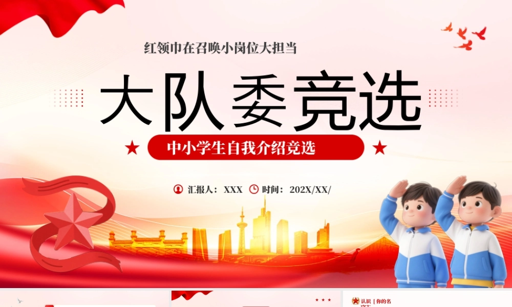 红色党政风大队委竞选介绍.pptx