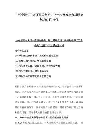 “五个带头”方面原因剖析、下一步整改方向对照检查材料【3份】.docx