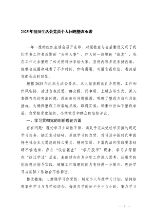 2025年组织生活会党员个人问题整改承诺.docx